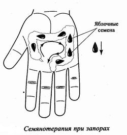 Семянотерапия при запорах